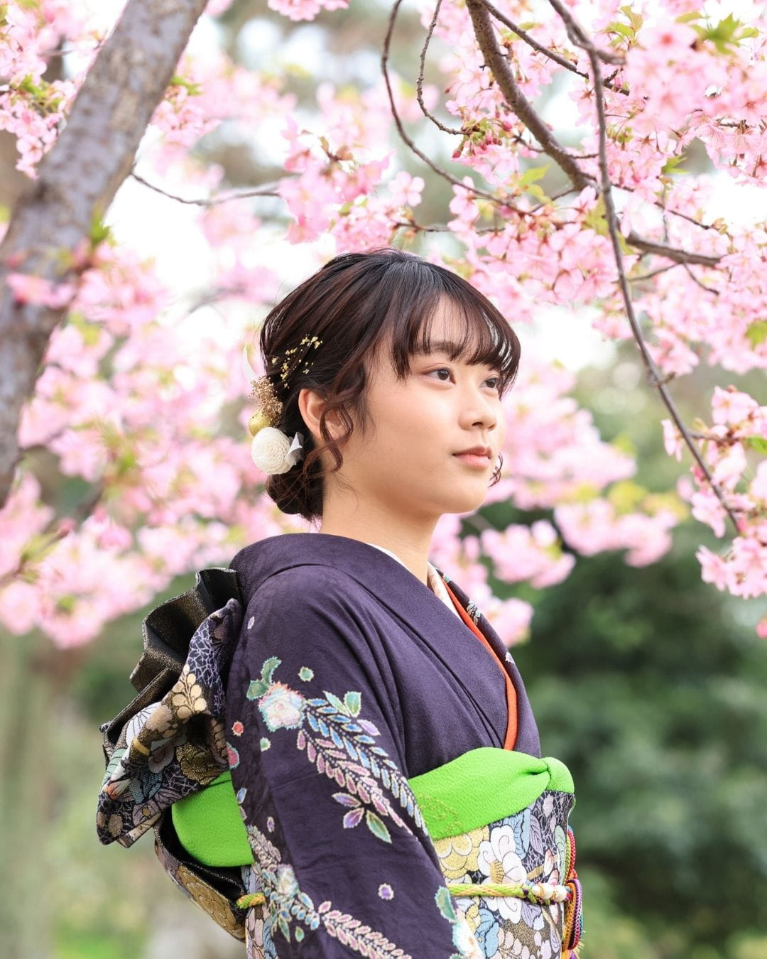 桜　ロケーション　成人式前撮り　住吉公園